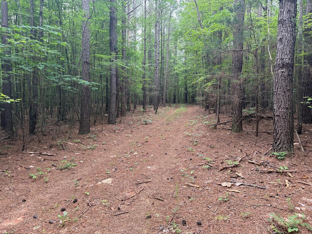 Nelson County Gem: 105 Acres with Development Rights & River Access