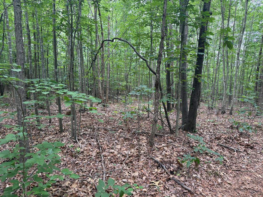 Nelson County Gem: 105 Acres with Development Rights & River Access