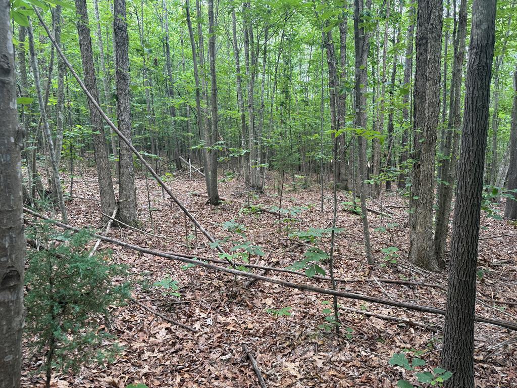 Nelson County Gem: 105 Acres with Development Rights & River Access
