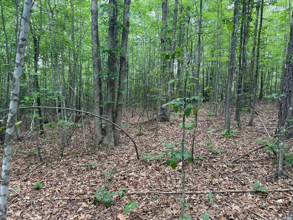 Nelson County Gem: 105 Acres with Development Rights & River Access