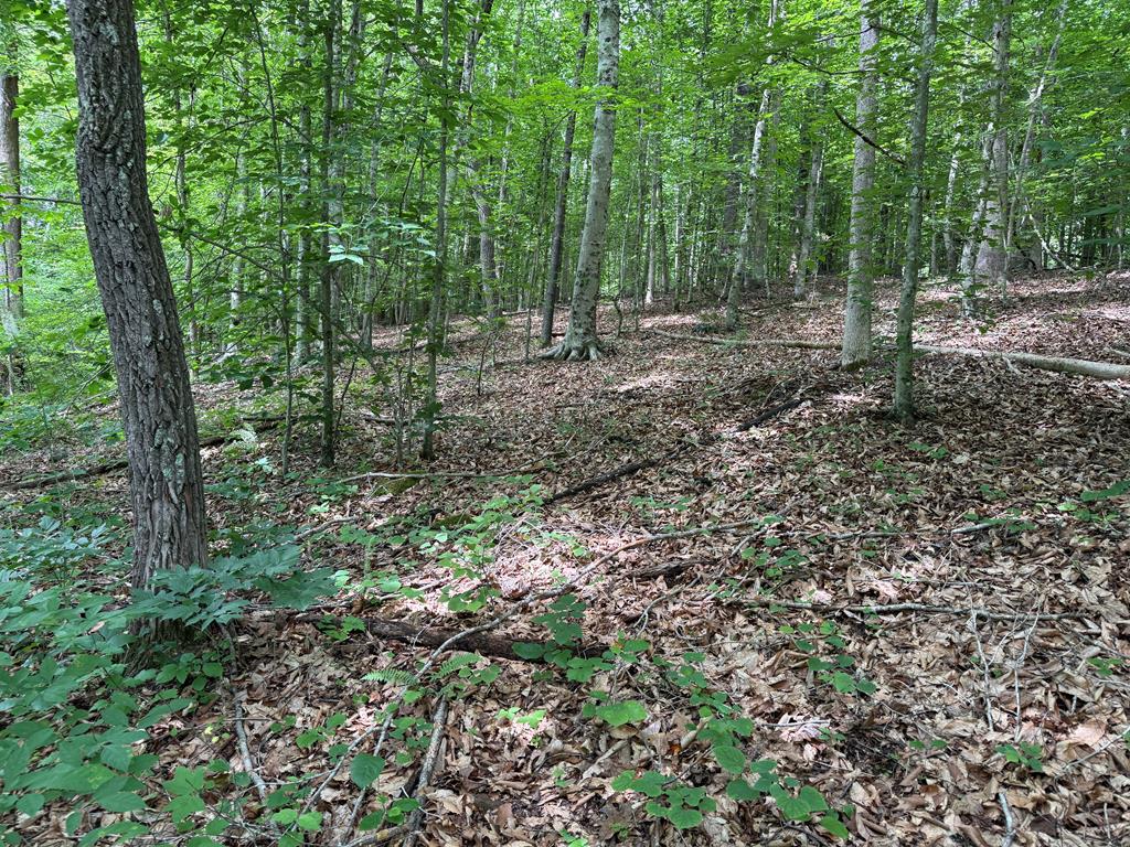 Nelson County Gem: 105 Acres with Development Rights & River Access