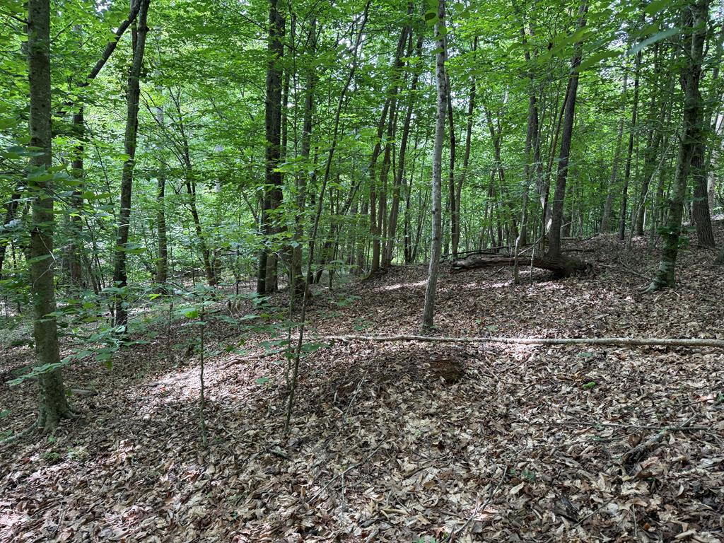 Nelson County Gem: 105 Acres with Development Rights & River Access