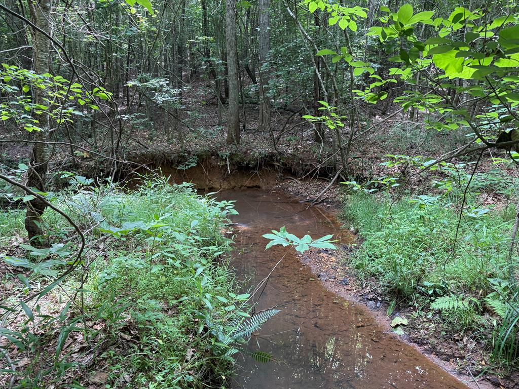 Nelson County Gem: 105 Acres with Development Rights & River Access