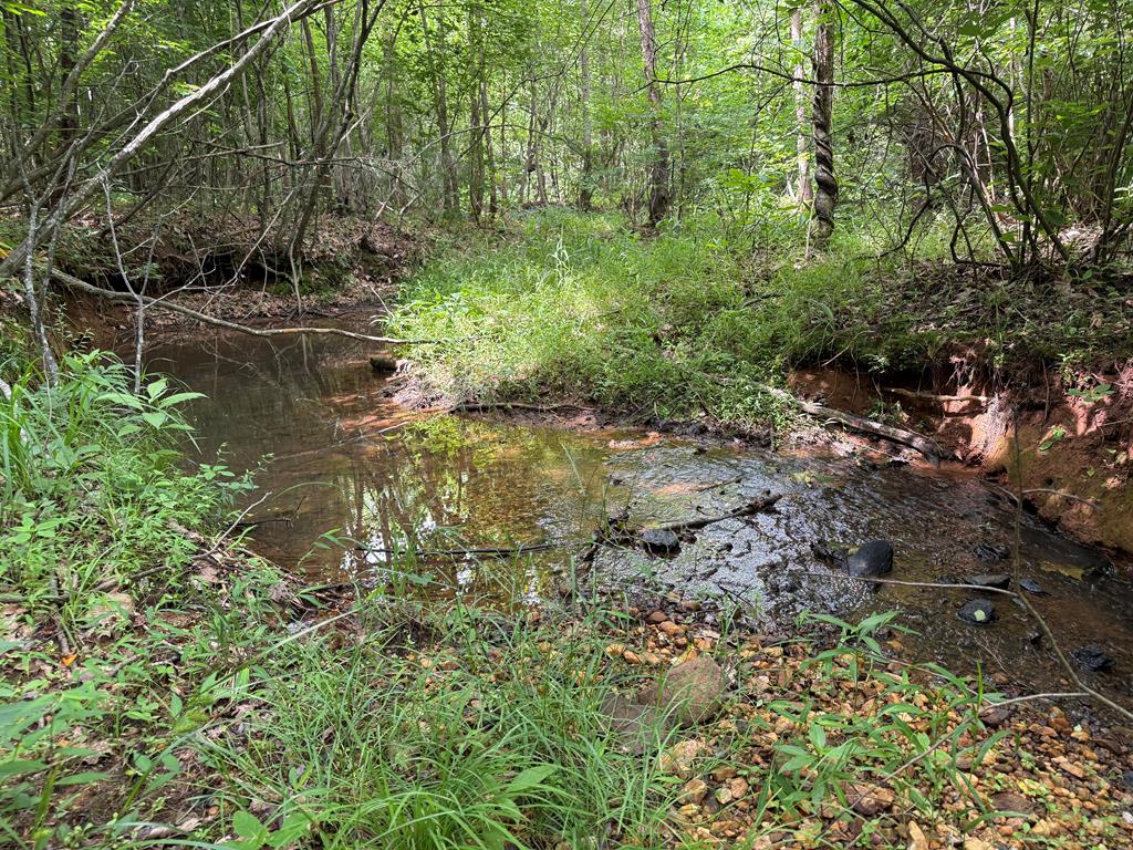 Nelson County Gem: 105 Acres with Development Rights & River Access