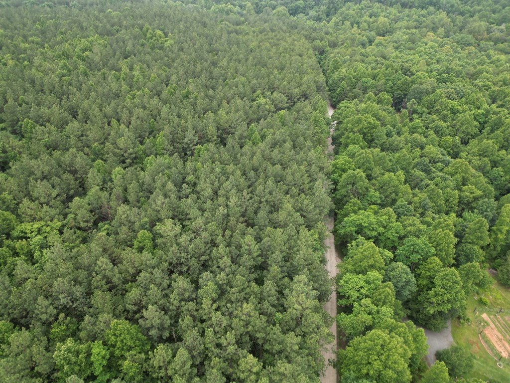 Nelson County Gem: 105 Acres with Development Rights & River Access