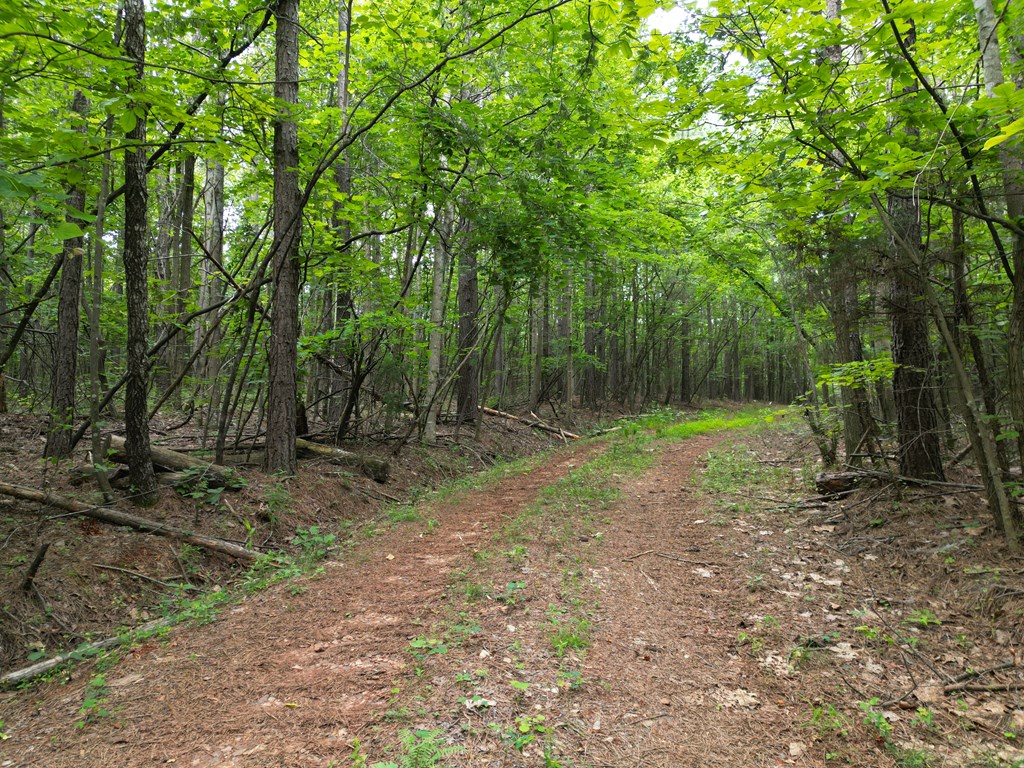 Nelson County Gem: 105 Acres with Development Rights & River Access