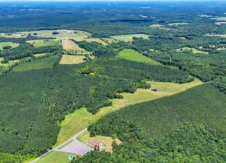 130 Acres of Opportunity: Hunt, Build, or Retreat in Halifax County, VA