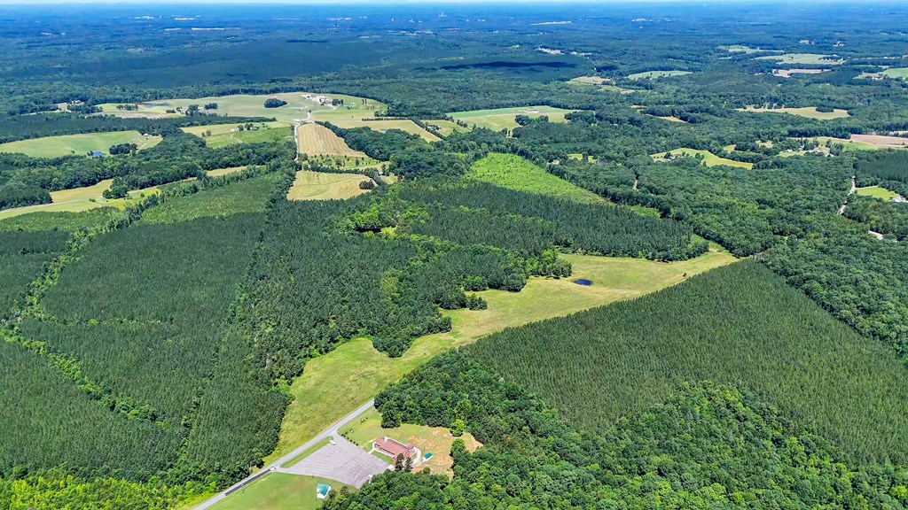 130 Acres of Opportunity: Hunt, Build, or Retreat in Halifax County, VA