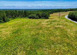 130 Acres of Opportunity: Hunt, Build, or Retreat in Halifax County, VA