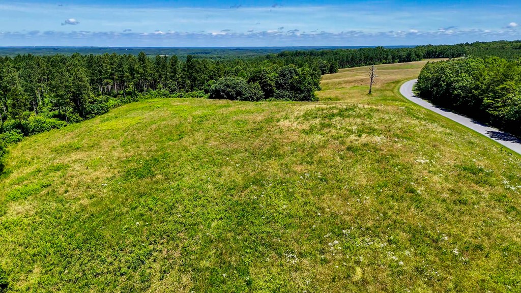 130 Acres of Opportunity: Hunt, Build, or Retreat in Halifax County, VA