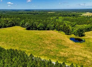 130 Acres of Opportunity: Hunt, Build, or Retreat in Halifax County, VA