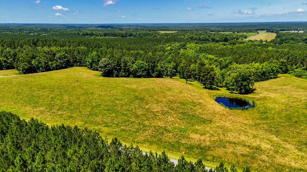 130 Acres of Opportunity: Hunt, Build, or Retreat in Halifax County, VA