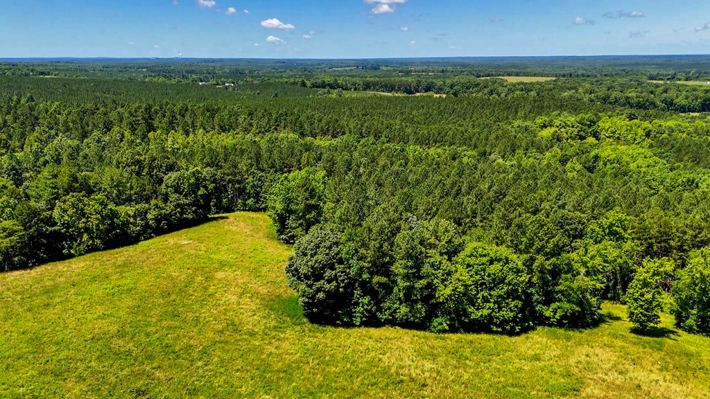 130 Acres of Opportunity: Hunt, Build, or Retreat in Halifax County, VA