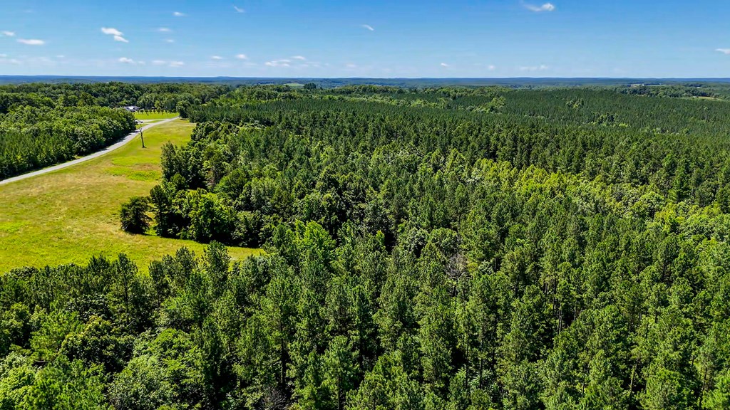 130 Acres of Opportunity: Hunt, Build, or Retreat in Halifax County, VA