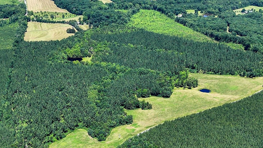 130 Acres of Opportunity: Hunt, Build, or Retreat in Halifax County, VA
