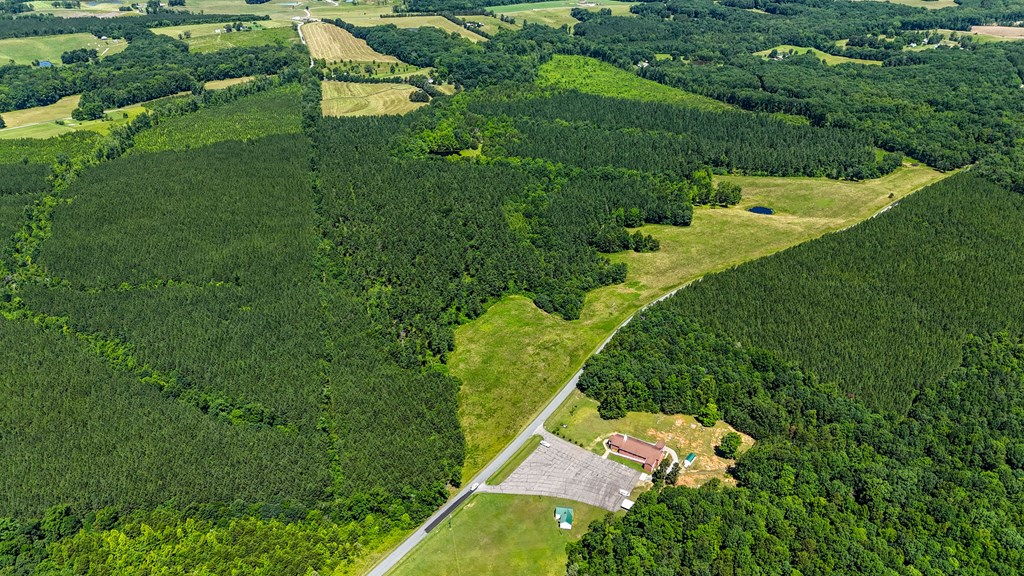 130 Acres of Opportunity: Hunt, Build, or Retreat in Halifax County, VA