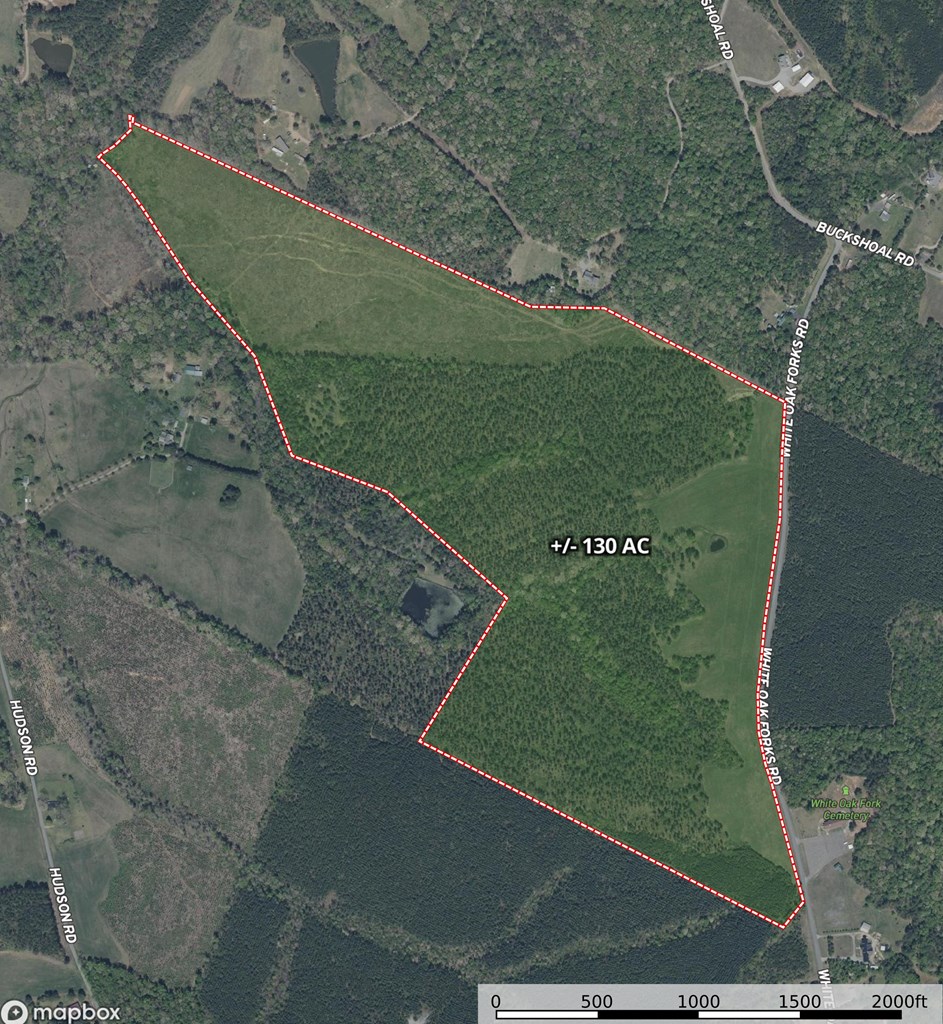 130 Acres of Opportunity: Hunt, Build, or Retreat in Halifax County, VA