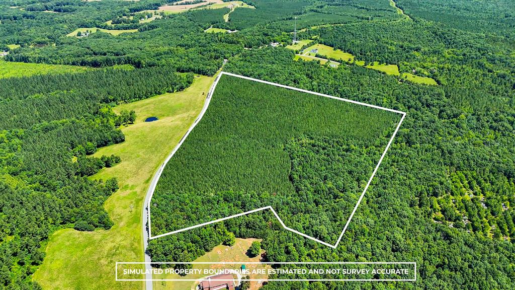 35 Acres of Freedom: Hunt, Build & Breathe in Southern VA