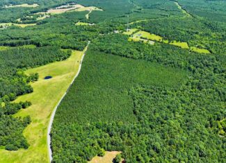 35 Acres of Freedom: Hunt, Build & Breathe in Southern VA