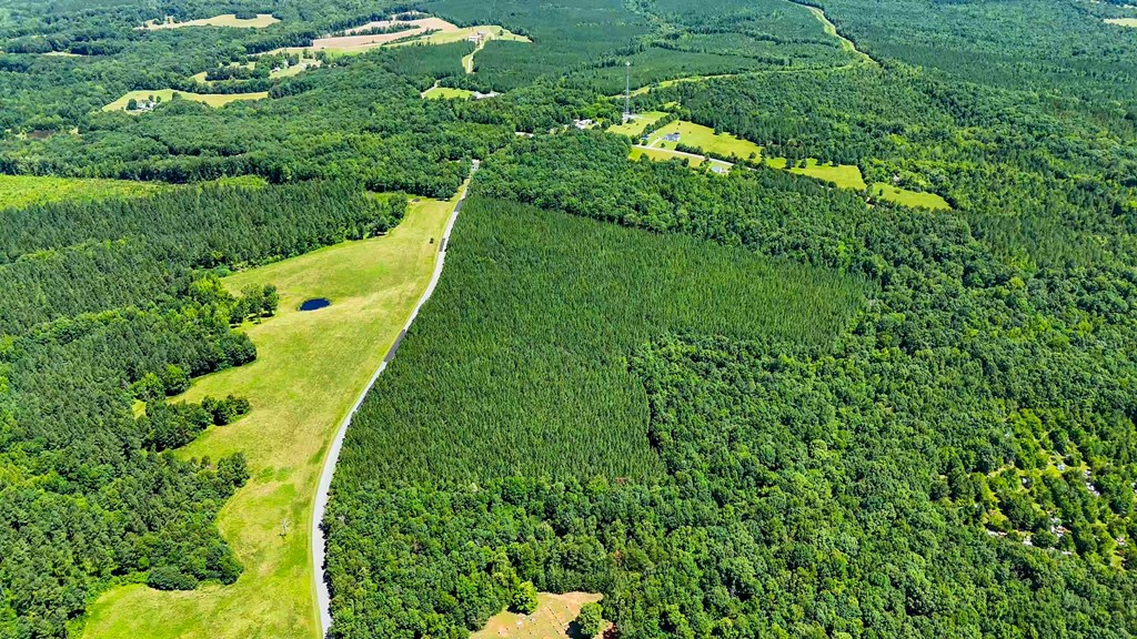 35 Acres of Freedom: Hunt, Build & Breathe in Southern VA