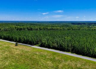 35 Acres of Freedom: Hunt, Build & Breathe in Southern VA