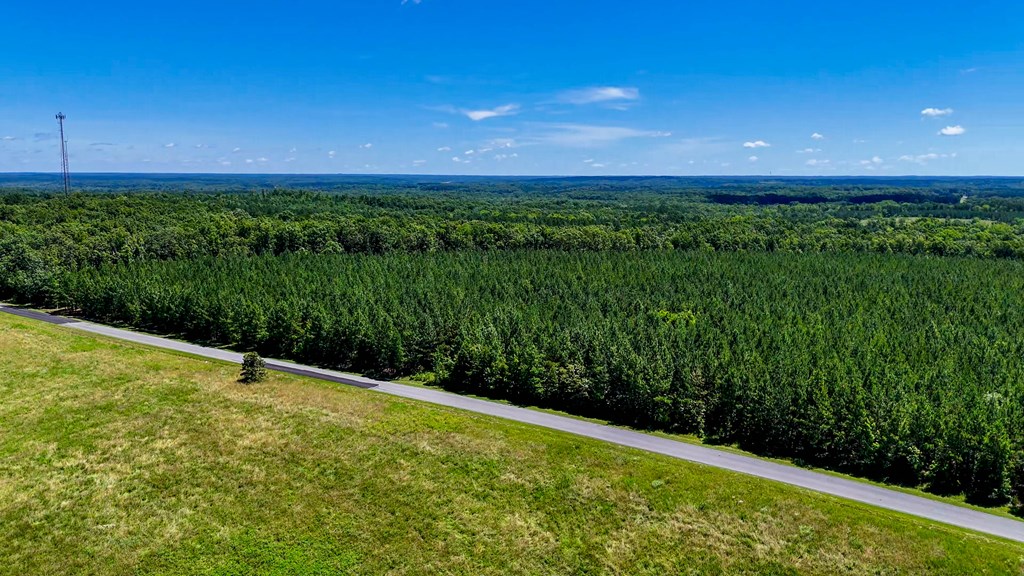 35 Acres of Freedom: Hunt, Build & Breathe in Southern VA