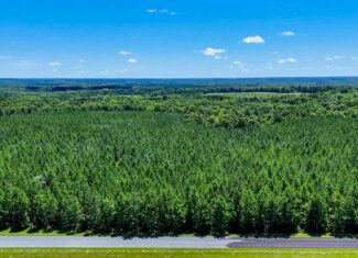 35 Acres of Freedom: Hunt, Build & Breathe in Southern VA