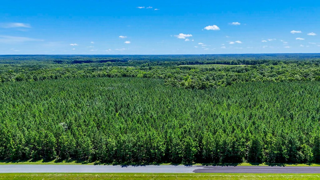 35 Acres of Freedom: Hunt, Build & Breathe in Southern VA