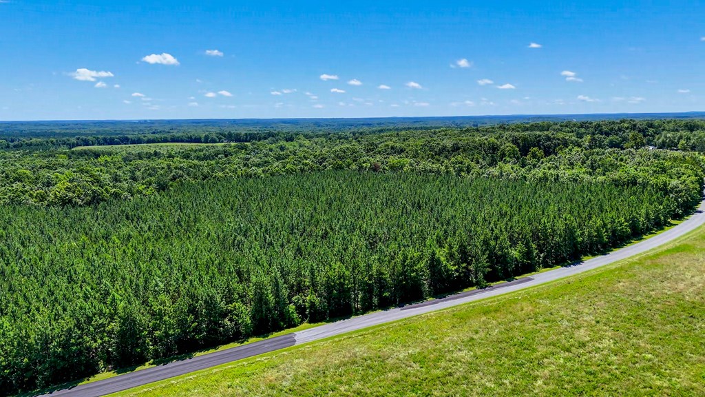 35 Acres of Freedom: Hunt, Build & Breathe in Southern VA