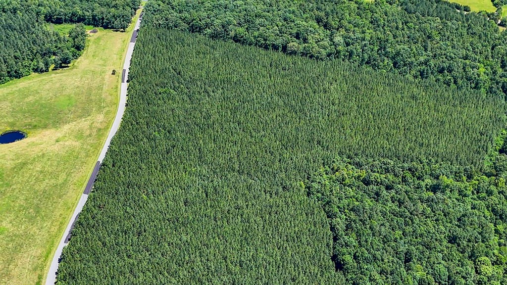 35 Acres of Freedom: Hunt, Build & Breathe in Southern VA