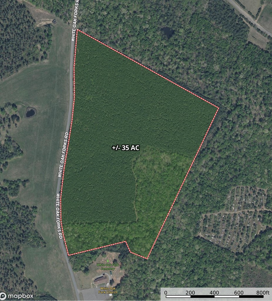 35 Acres of Freedom: Hunt, Build & Breathe in Southern VA