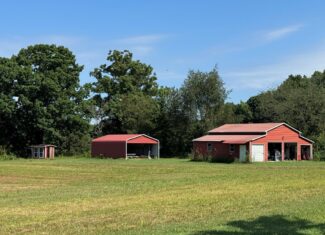 35± Acres of Prime Hunting & Recreational Land in Halifax County VA!