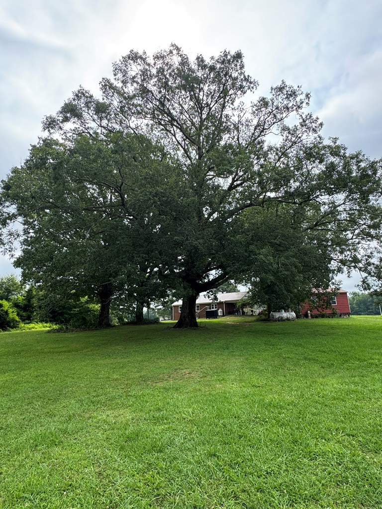 35± Acres of Prime Hunting & Recreational Land in Halifax County VA!