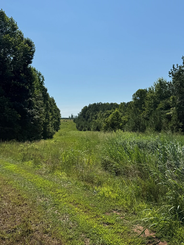 35± Acres of Prime Hunting & Recreational Land in Halifax County VA!