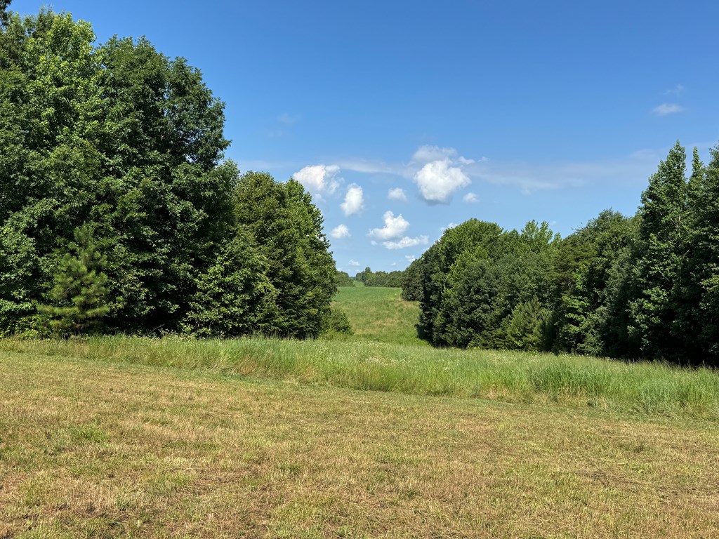 35± Acres of Prime Hunting & Recreational Land in Halifax County VA!