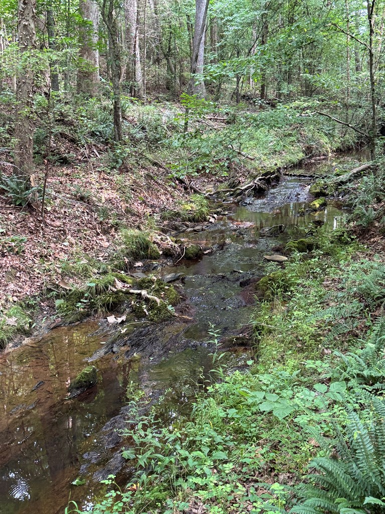 35± Acres of Prime Hunting & Recreational Land in Halifax County VA!