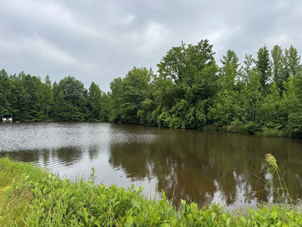 35± Acres of Prime Hunting & Recreational Land in Halifax County VA!
