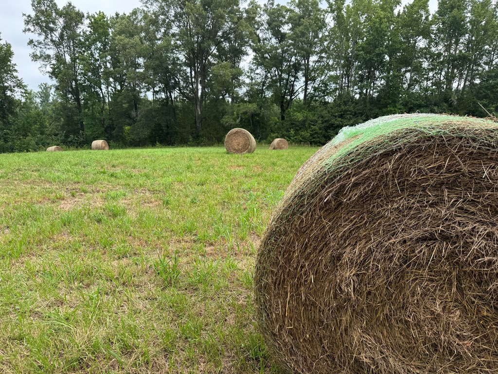 35± Acres of Prime Hunting & Recreational Land in Halifax County VA!