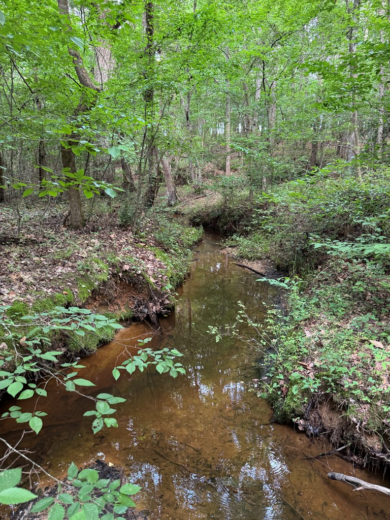 35± Acres of Prime Hunting & Recreational Land in Halifax County VA!