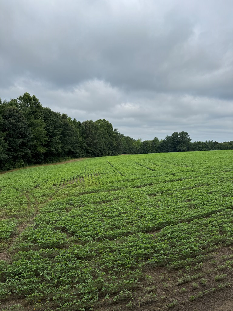 35± Acres of Prime Hunting & Recreational Land in Halifax County VA!