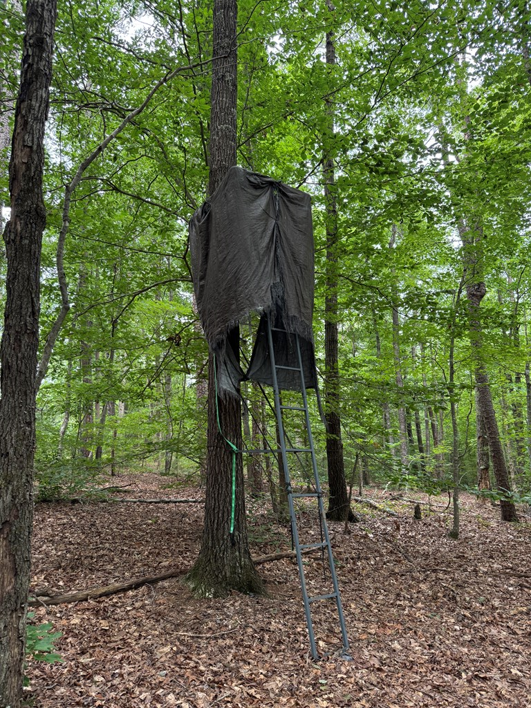 35± Acres of Prime Hunting & Recreational Land in Halifax County VA!
