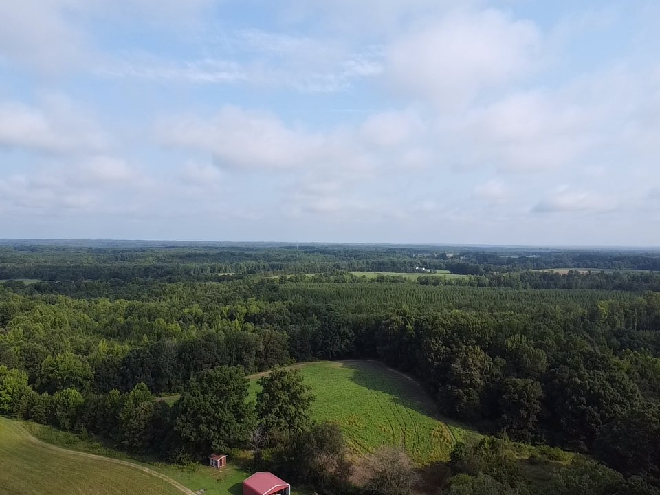 35± Acres of Prime Hunting & Recreational Land in Halifax County VA!