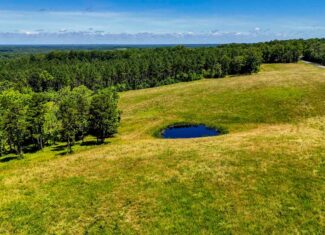 130 Acres of Opportunity: Hunt, Build, or Retreat in Halifax County, VA