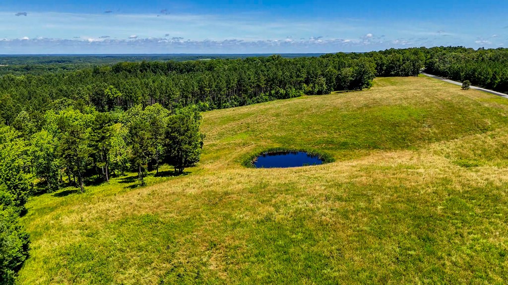 130 Acres of Opportunity: Hunt, Build, or Retreat in Halifax County, VA