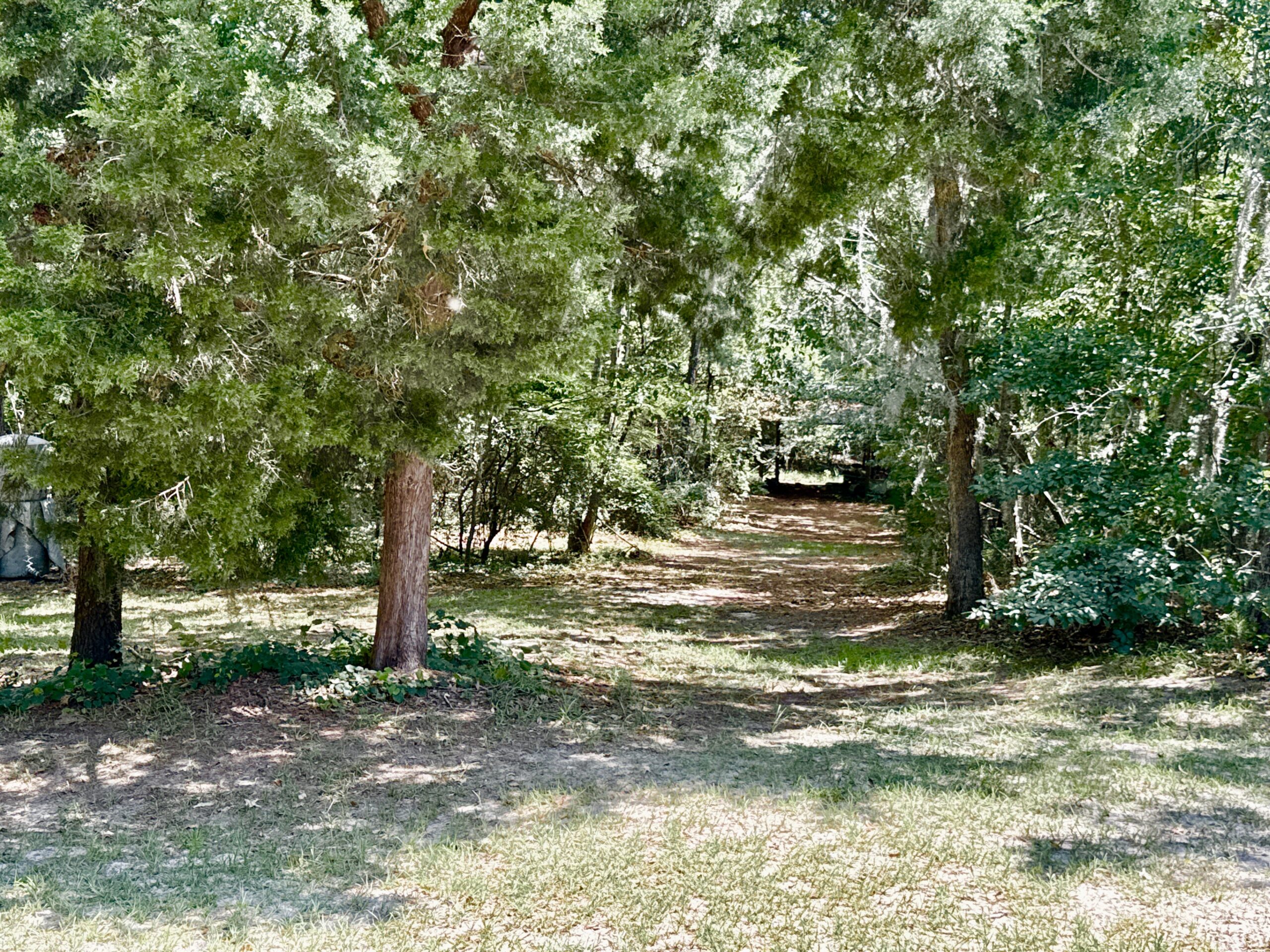 47.7 Acres with Custom Home & Abundant Wildlife