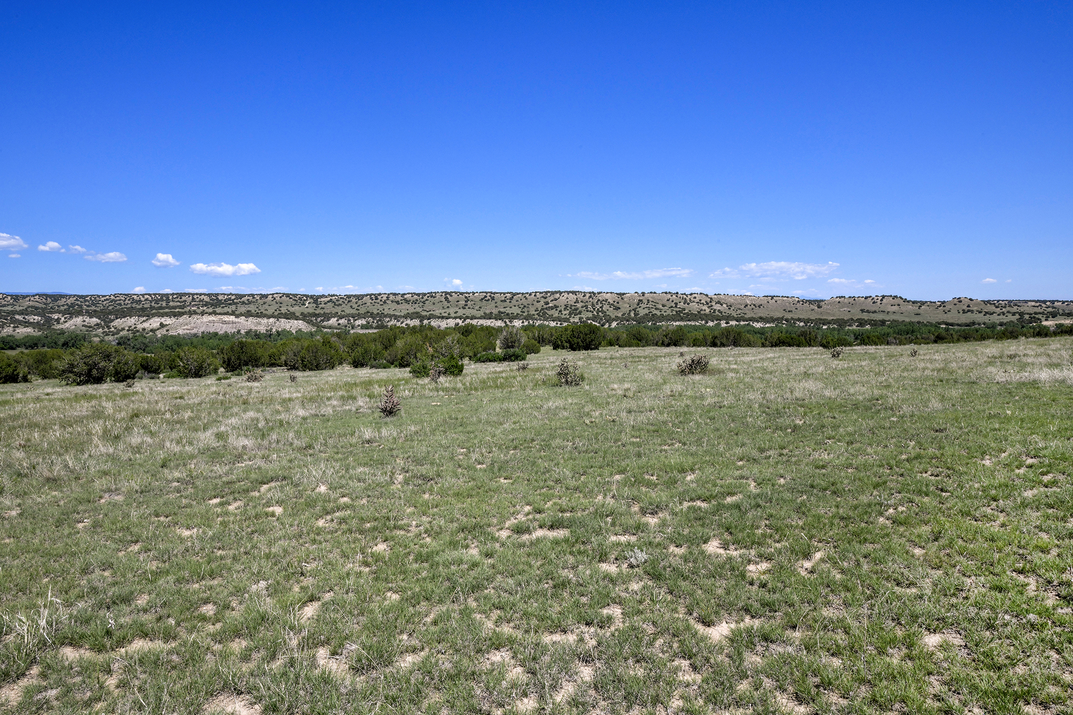 Burnt Mill Ranch – 643± Acres of Prime Colorado Ranchland