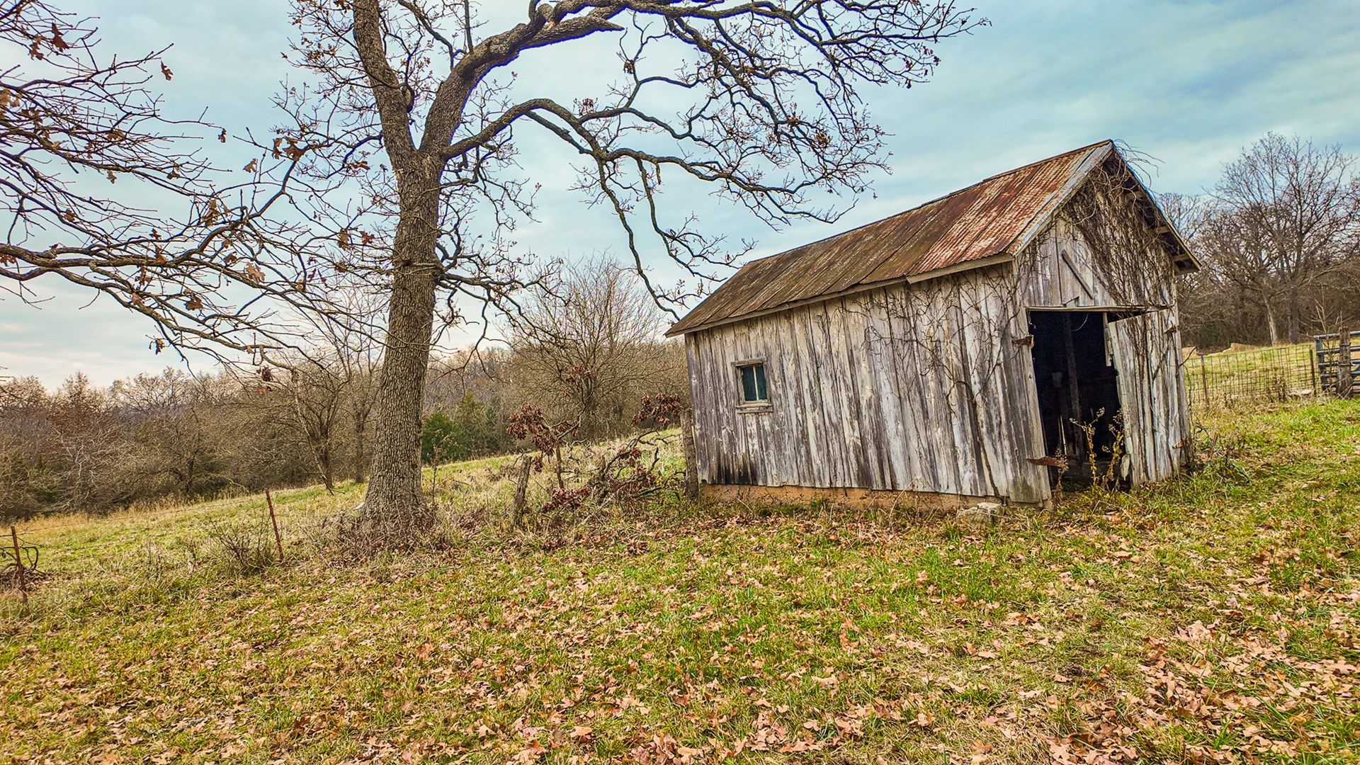 293 +/- acre hunting property for sale Lowry City MO