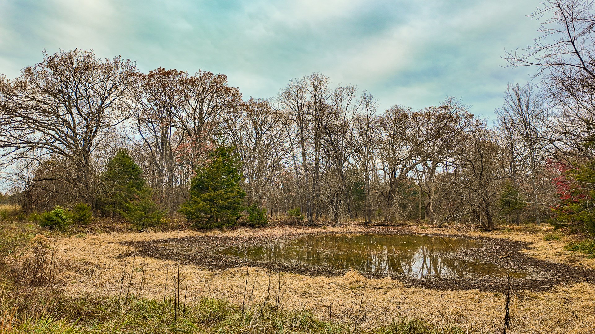 293 +/- acre hunting property for sale Lowry City MO