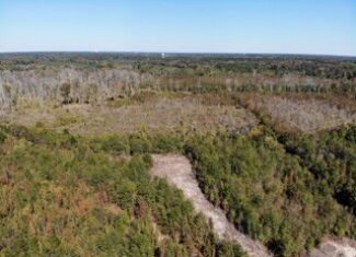 South Carolina Hunting Land for Sale