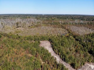 South Carolina Hunting Land for Sale